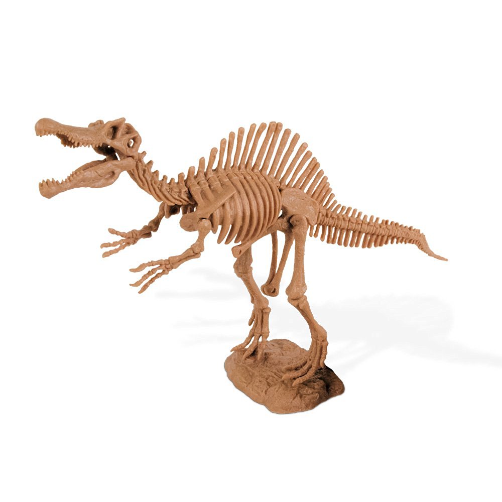 Набор для проведения раскопок Dr.Steve – Спинозавр  